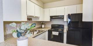 The Onyx at 3211 Gallery 48