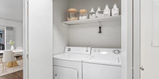 Autumn Chase Gallery 6