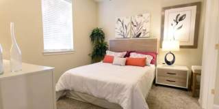 Oak Forest Gallery 1