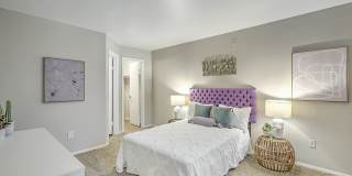 Desert Sage Gallery 10