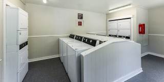 Brookhollow Apartments Gallery 4