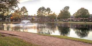 Lakeview Apartments Gallery 4