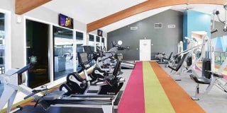 Camden Village Gallery 16