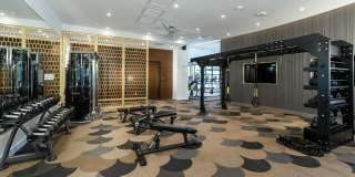 Auric Symphony Park Gallery 16