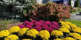 Sunset Ridge Apartments Gallery 13