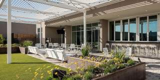 The Piedmont by Mark-Taylor Gallery 20