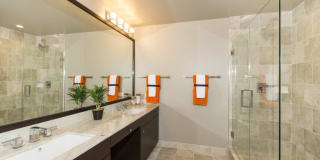 Gallery Bethesda I Gallery 15