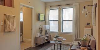 The Flamingo Gallery 4