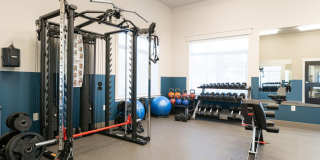 Wellstone Gallery 19