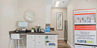 Flint at 290 Gallery 19