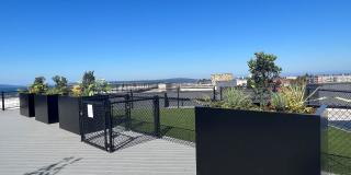 The Waterline Apartments Gallery 25