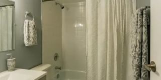 Oak Lawn Blu Apartments Gallery 4