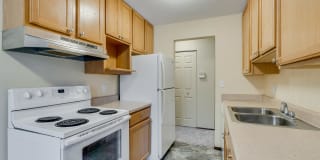 Chateau Montreal Gallery 13