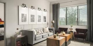 Soltra at SanTan Village Gallery 6