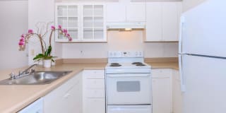 Star Apartments Gallery 11