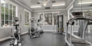 Newport Apartments Gallery 8