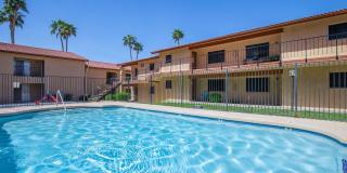 Whispering Willows Gallery 14