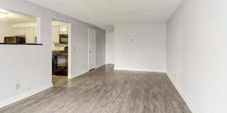 Tanglewood Village Gallery 3
