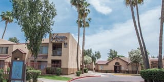Ventana Palms Gallery 17