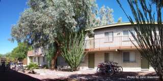 Mountain Plaza Gallery 14