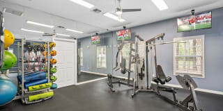 Coastline Cove Gallery 16