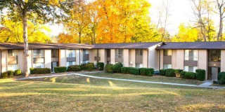 Dresden Forest Gallery 13