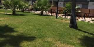 Georgetown Apartments Gallery 6