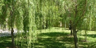 Spicewood Crossing Gallery 14