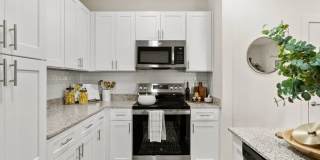 Hudson at Pecan Creek Gallery 2