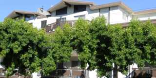Mariposa Apartments Gallery 11