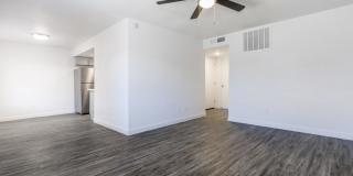 Palisade Park Gallery 22