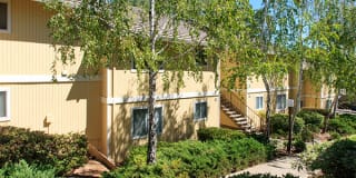 Heather Ridge Gallery 11