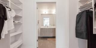 The Scholar The Scholar Gallery 2