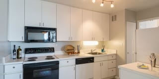 3450 North Lake Shore Drive Gallery 4