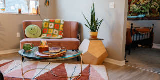 Benson Lights Apartments Gallery 5