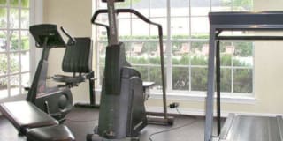 Walnut Terrace Gallery 12