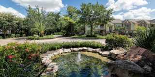 Stone Mist Gallery 35