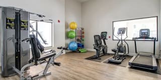 The Madison Gallery 19