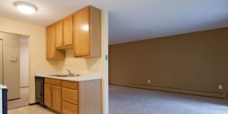 Chateau Montreal Gallery 33