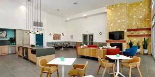The Oasis Gallery 14