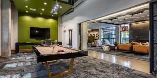 Agave 350 Gallery 24