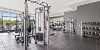 The Berkman Gallery 17