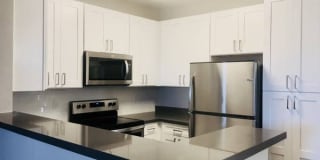 Woodland Meadow Gallery 15