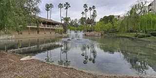 Large 1 Bedroom in Walnut Creek, Gym, Pool, Walk to Town Gallery 20