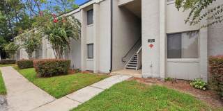 171 SPRINGWOOD Circle Gallery 1