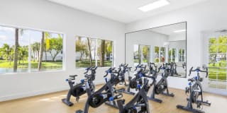 Palm Trace Landings Gallery 22