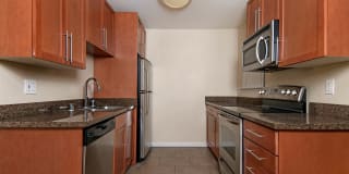 Verde Verde Gallery 6