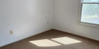 29133 N 125th Drive Gallery 17
