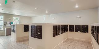 50 Paramount Gallery 24