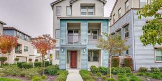 2284 Solace Loop Gallery 1